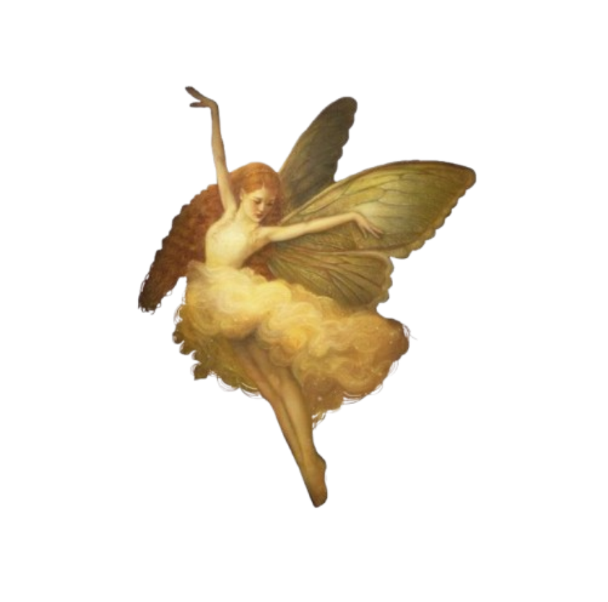 fairy