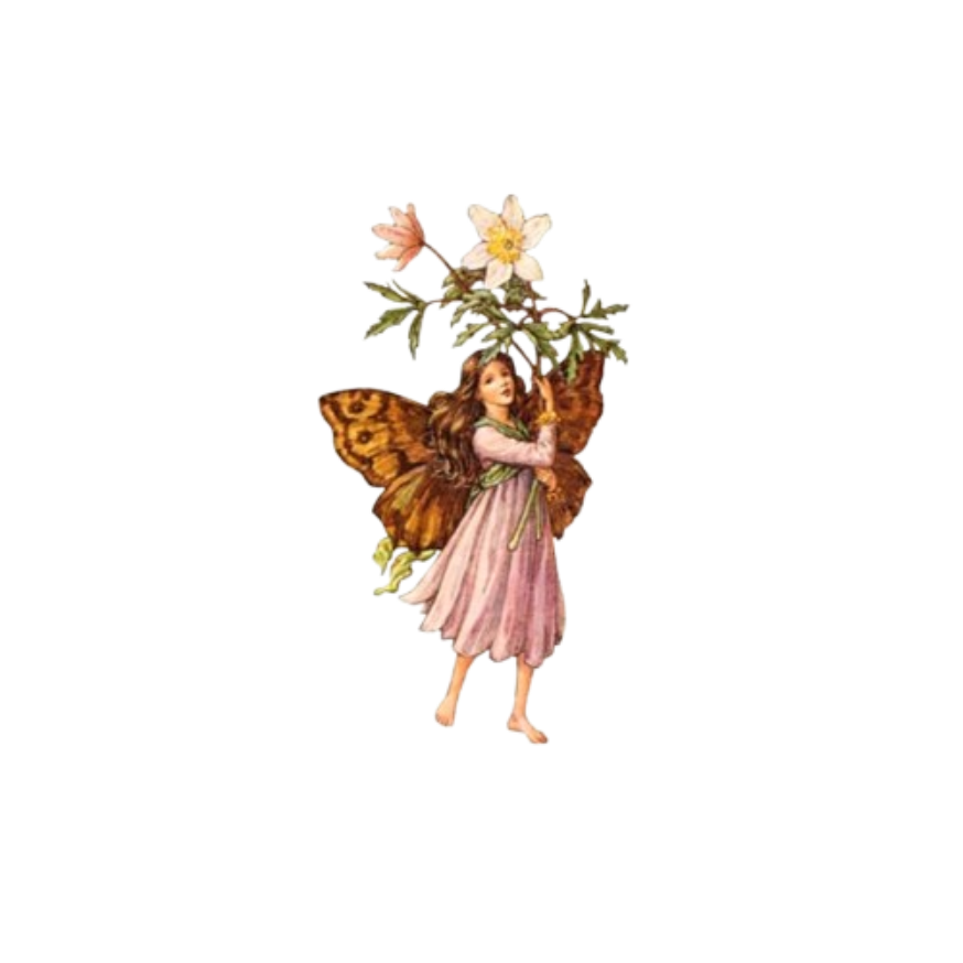 fairy