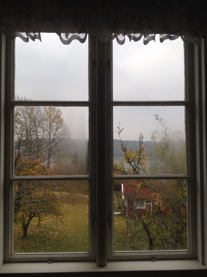 window